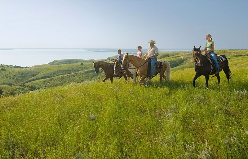 Horseback riding in the Pierre area